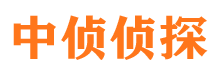 彭阳侦探公司